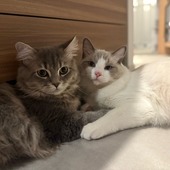 いづを73さん