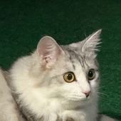 メイク大好き1113さん