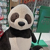 ゆーさんさんさんさん