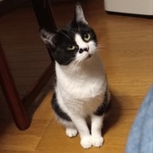 yumyummさん