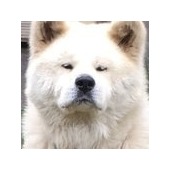 junnaaさん