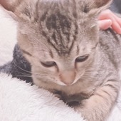 Rukiさん