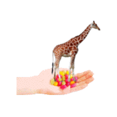 バームクウヘンさん