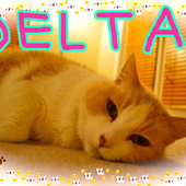 DELTAさん