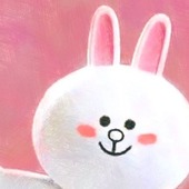 うさみみこにーさん