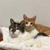 Norbertさん