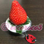 eccoroco5さん