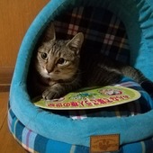 こぶチャンラブさん