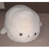 お風呂好きさん