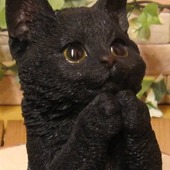 セブンとナインさん