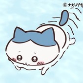 ひよこのぴぃすけさん