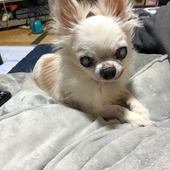 ☆まろさん