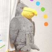 とまどけいさん