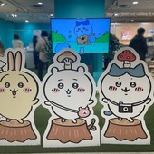 mshkoooさん