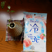 冷シート ももせっけんの香り / ビオレへのクチコミ投稿画像