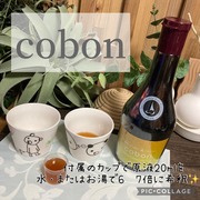 コーボンユズ＆ジンジャーライフプラス N525 / cobonへのクチコミ投稿画像