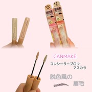 コンシーラーブロウマスカラ / キャンメイクへのクチコミ投稿画像