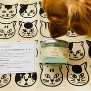 ボディスクラブ デリケート・ジャスミン(旧) / SABON(サボン)へのクチコミ投稿画像