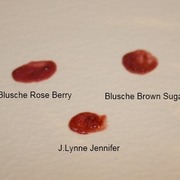 Organic Lip Glaze / Blusche Minerals（海外）へのクチコミ投稿画像
