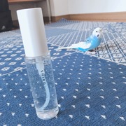アイスミント ボディミスト / SHIROへのクチコミ投稿画像