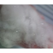 玉椿石鹸 / SHIZEN（シゼン）へのクチコミ投稿画像