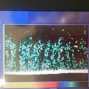 ビューティアドバンスドエッセンス / エピステームへのクチコミ投稿画像