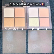 ＶＤＬ　チークステイン　ブラッシャー　パレット / VDL（ヴィ・ディー・エル）へのクチコミ投稿画像