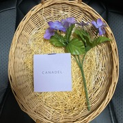 カナデル プレミアホワイト オールインワン / CANADEL(カナデル)へのクチコミ投稿画像