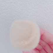 ビタブリッドCルースパウダー / ビタブリッドジャパンへのクチコミ投稿画像