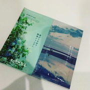 髪がうるおう精油シャンプー／トリートメント しっとり / ココロエへのクチコミ投稿画像