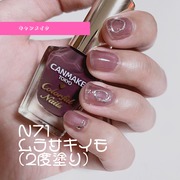 カラフルネイルズ / キャンメイクへのクチコミ投稿画像