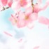 ♪蓮-Ren-♪さん