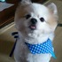 れぉん☆彡さん