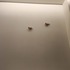 moooruさん