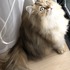 香水大好きさん
