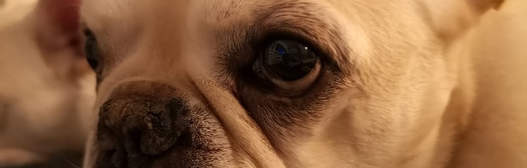 mocha-821さんのカバー写真
