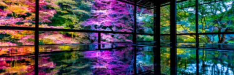 hirocosme･☆ﾟ:*:ﾟさんのカバー写真