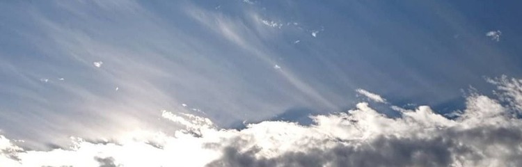 mitsuki_さんのカバー写真