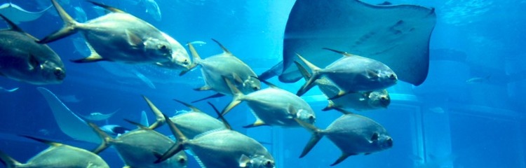 タカコ(o^-)bさんのカバー写真