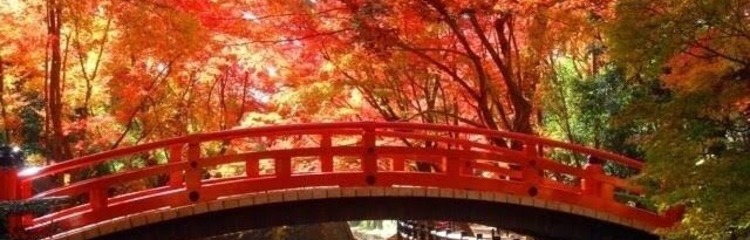 紅葉★☆さんのカバー写真