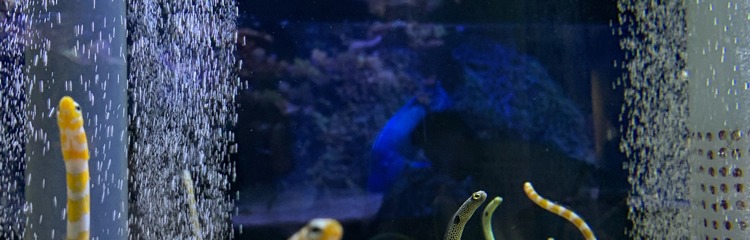 **まるこさん**さんのカバー写真
