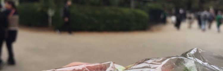 くまこここさんさんのカバー写真