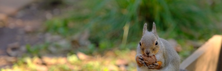 みかちう★彡さんのカバー写真