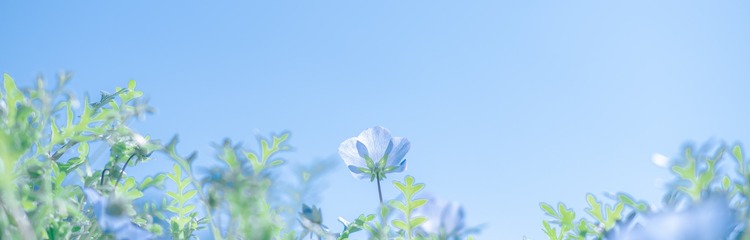 mari_jasmineさんのカバー写真
