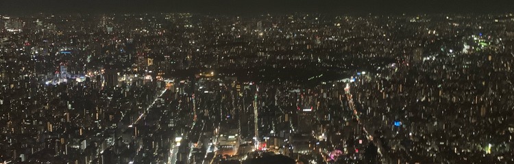 のじせいさんのカバー写真