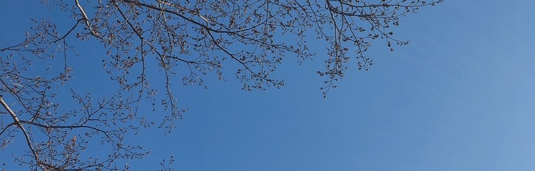 M子^^さんのカバー写真