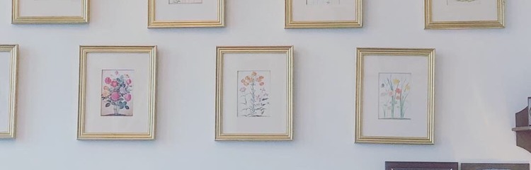 hoshimi.さんのカバー写真