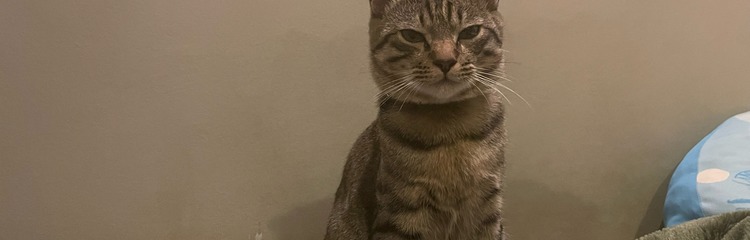 うたさん★彡さんのカバー写真