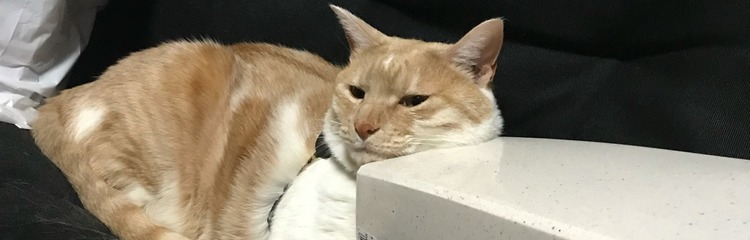 ♪匠♪さんのカバー写真