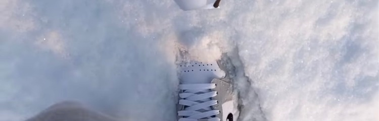 sochiorさんのカバー写真